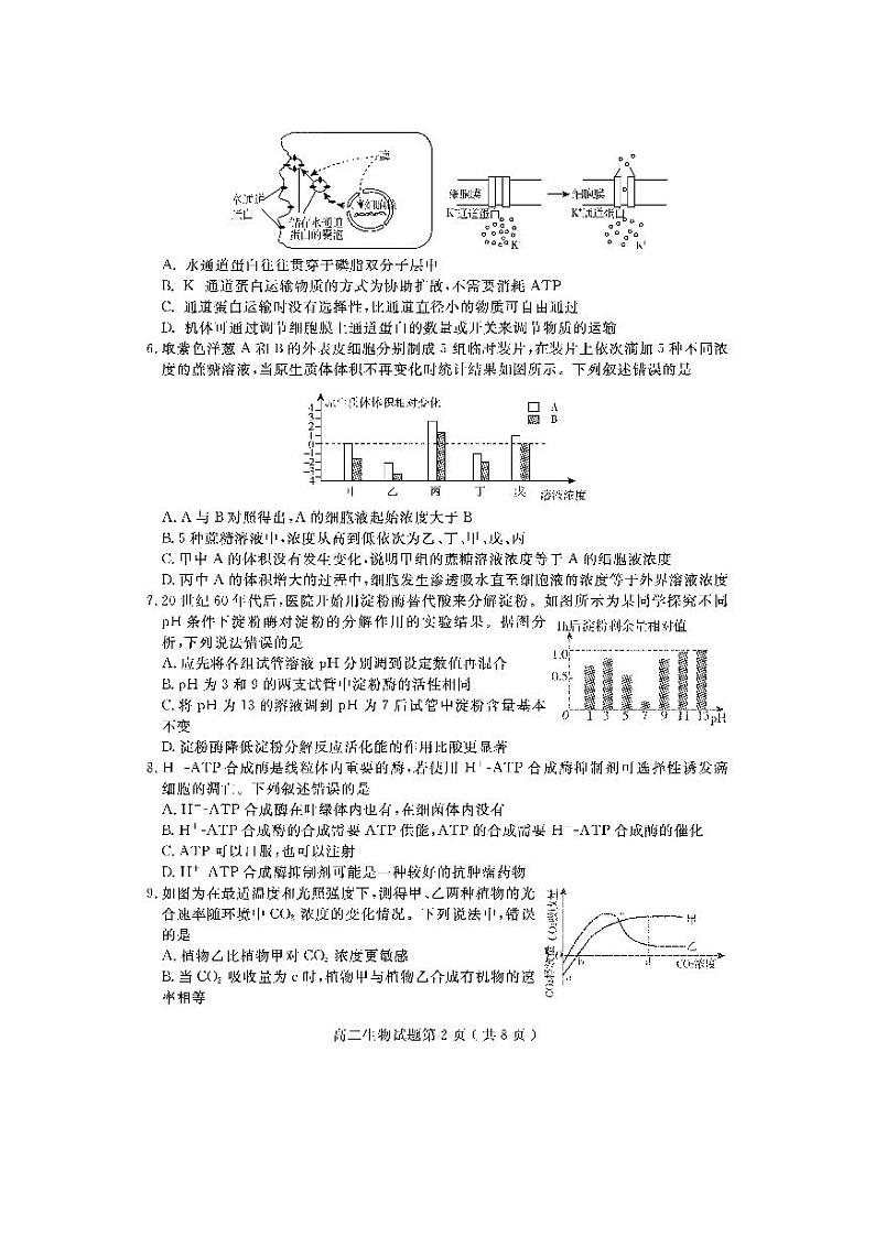 2020济宁高二下学期期末考试生物试题PDF版含答案02