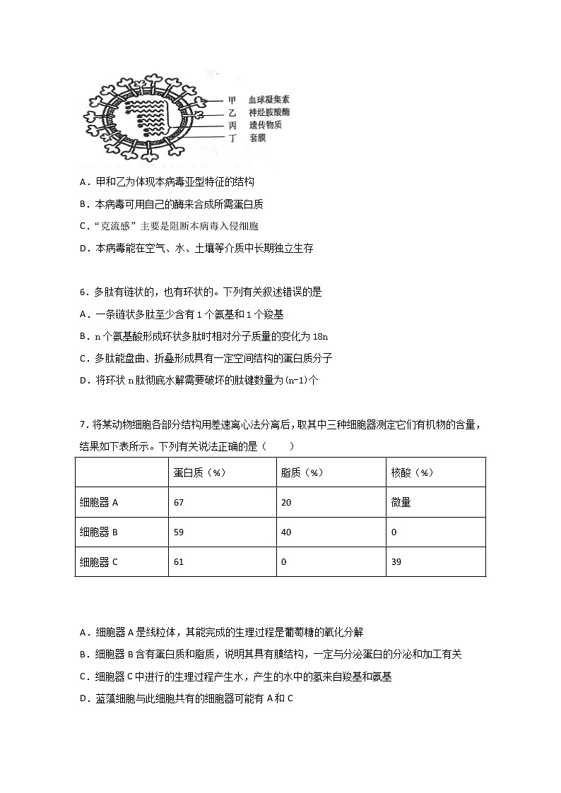 2020西藏山南二中高二下学期期末考试生物试卷含答案03