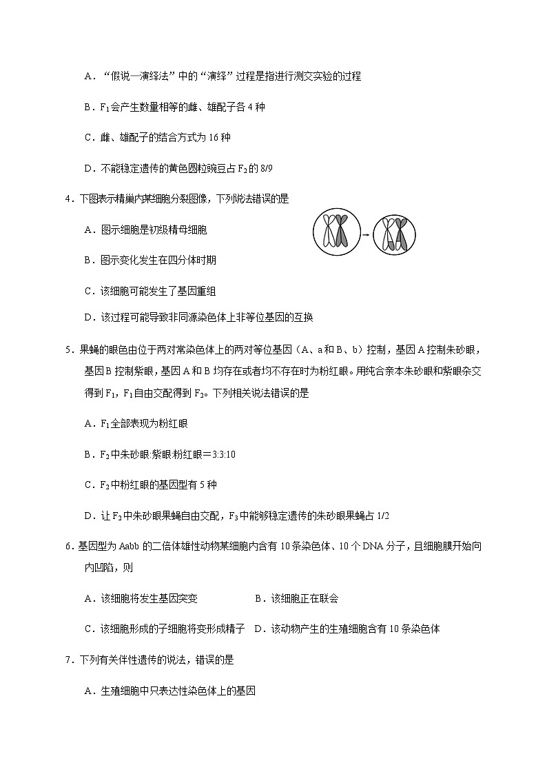 2020威海高二下学期期末考试生物试题含答案02