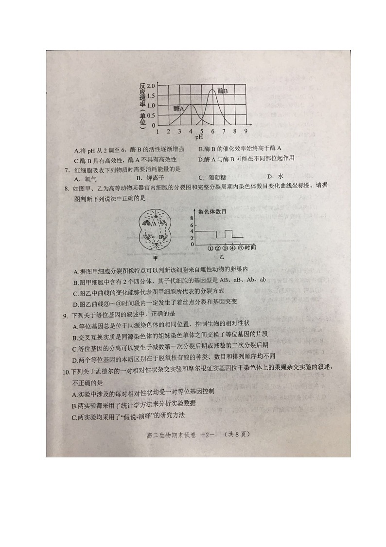 湖南省怀化市2019-2020学年高二下学期期末考试生物试题（图片版）第2页