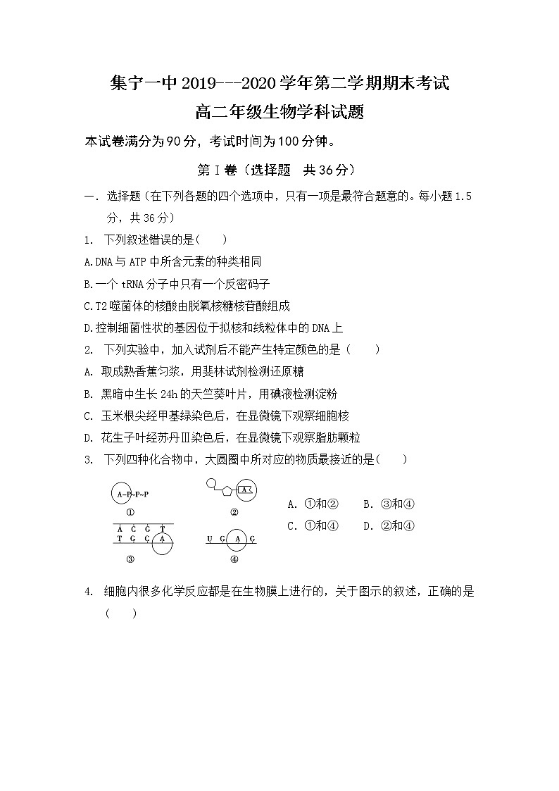 2020内蒙古集宁一中（西校区）高二下学期期末考试生物试卷含答案第1页