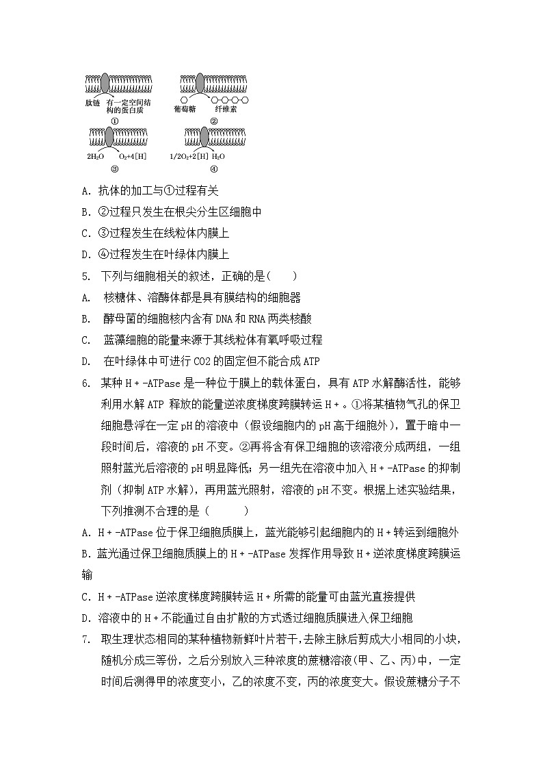 2020内蒙古集宁一中（西校区）高二下学期期末考试生物试卷含答案第2页