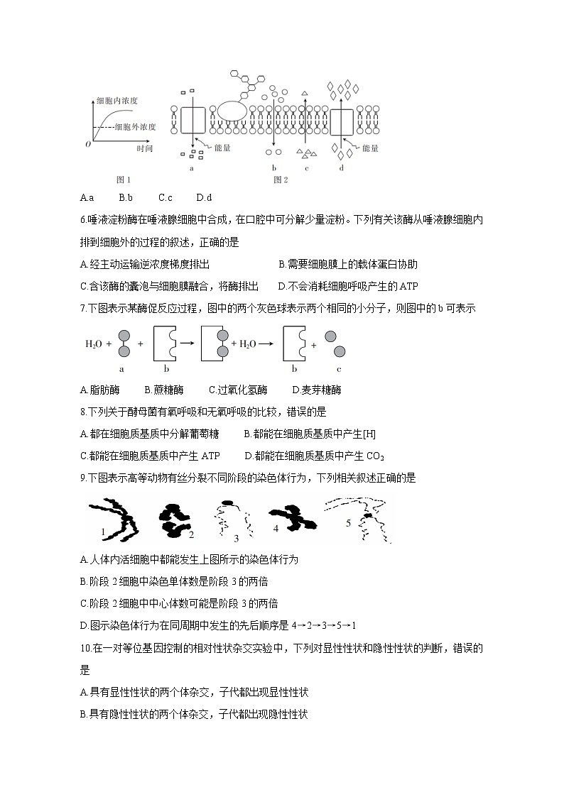 2020河北省“五个一”名校联盟高二6月联考试题生物含答案第2页