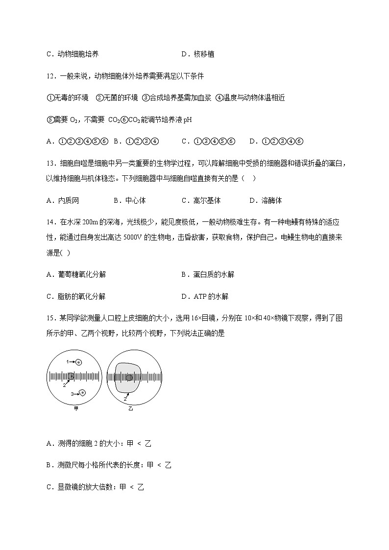 2020南阳华龙高级中学高二5月月考生物试题含答案第3页