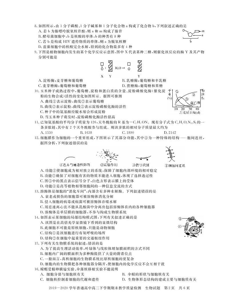 2020信阳高二下学期期末生物试题（可编辑）PDF版含答案02