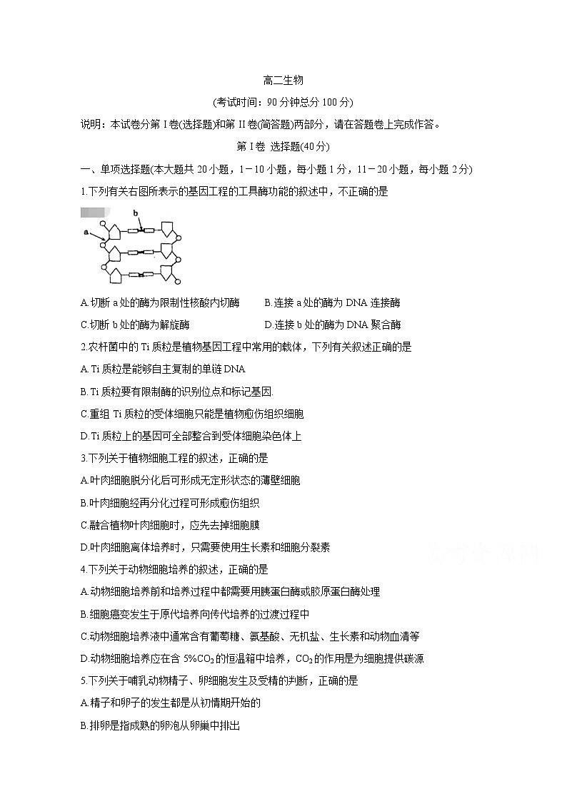 2020苏州高二下学期期中考试生物含答案第1页