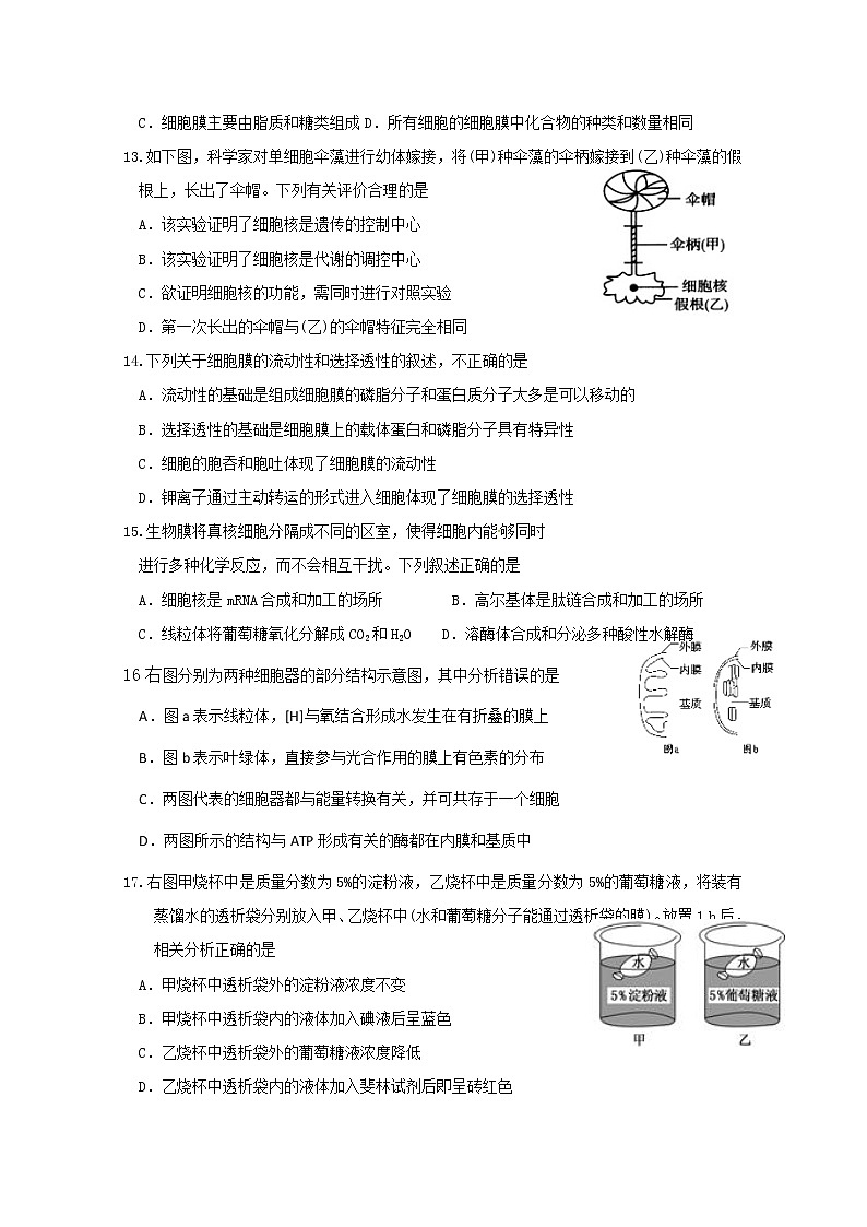 2020白城通榆县一中高二下学期期末考试生物试题含答案第3页