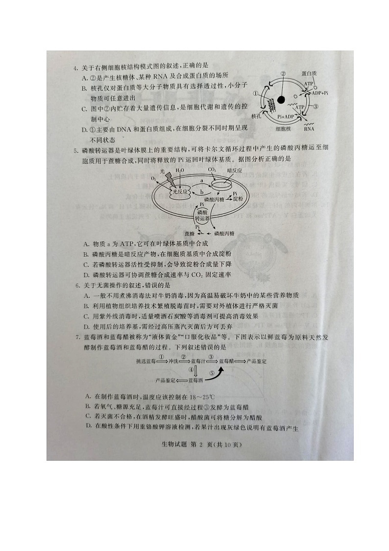 2020临沂高二下学期期末考试生物试题图片版含答案02