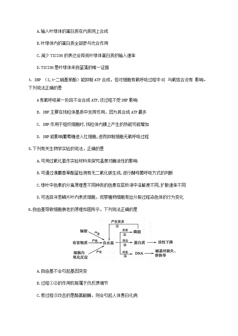 2020滨州高二下学期期末考试生物试题含答案02