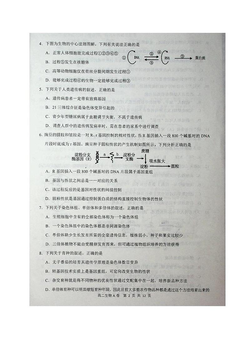 2020赤峰高二下学期期末联考（A卷）生物试题扫描版含答案02