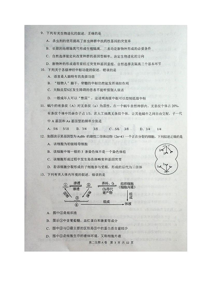 2020赤峰高二下学期期末联考（A卷）生物试题扫描版含答案03