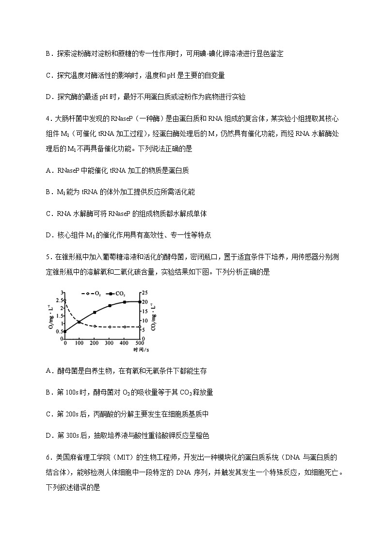 2020泸县五中高二下学期期末模拟考试生物试卷含答案第2页