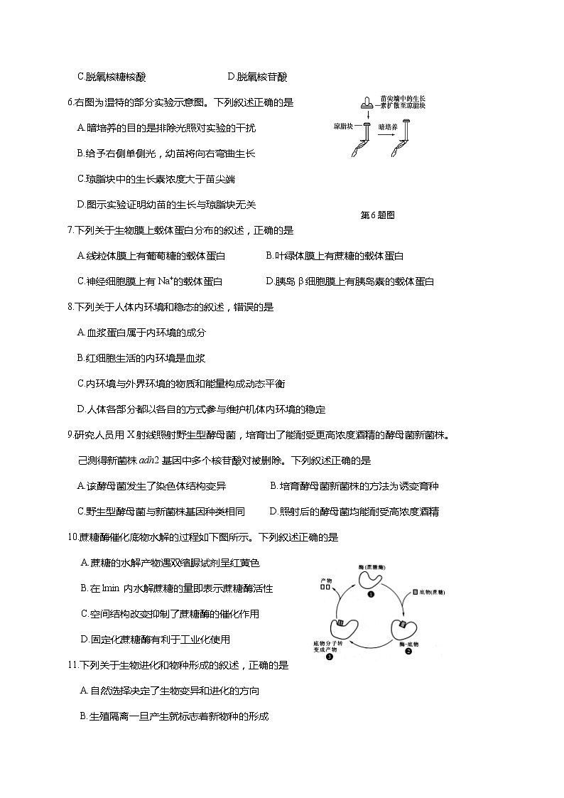 2020丽水高二下学期期末生物试题含答案02