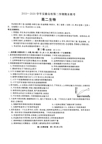 池州高二第二学期期末考试生物PDF版含答案