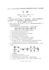 2020沈阳郊联体高二下学期期中考试生物试题（图片版）扫描版含答案