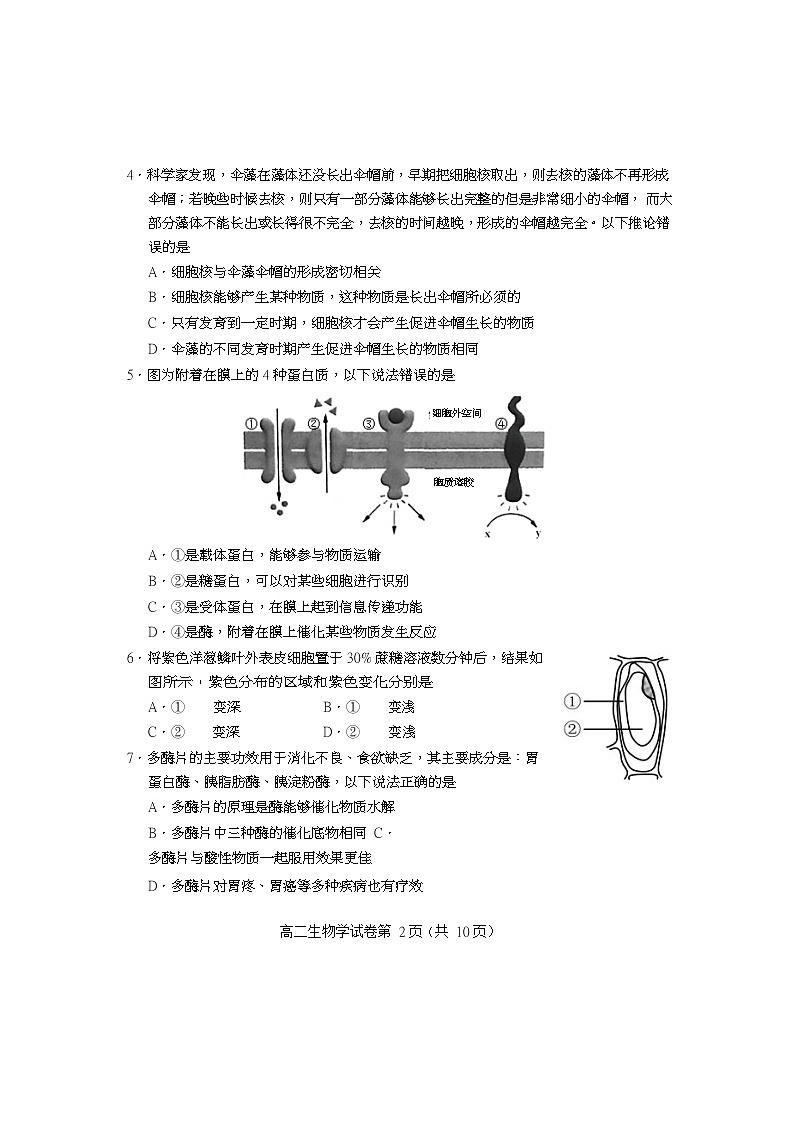 2020北京房山区高二下学期期末考试生物试题含答案02