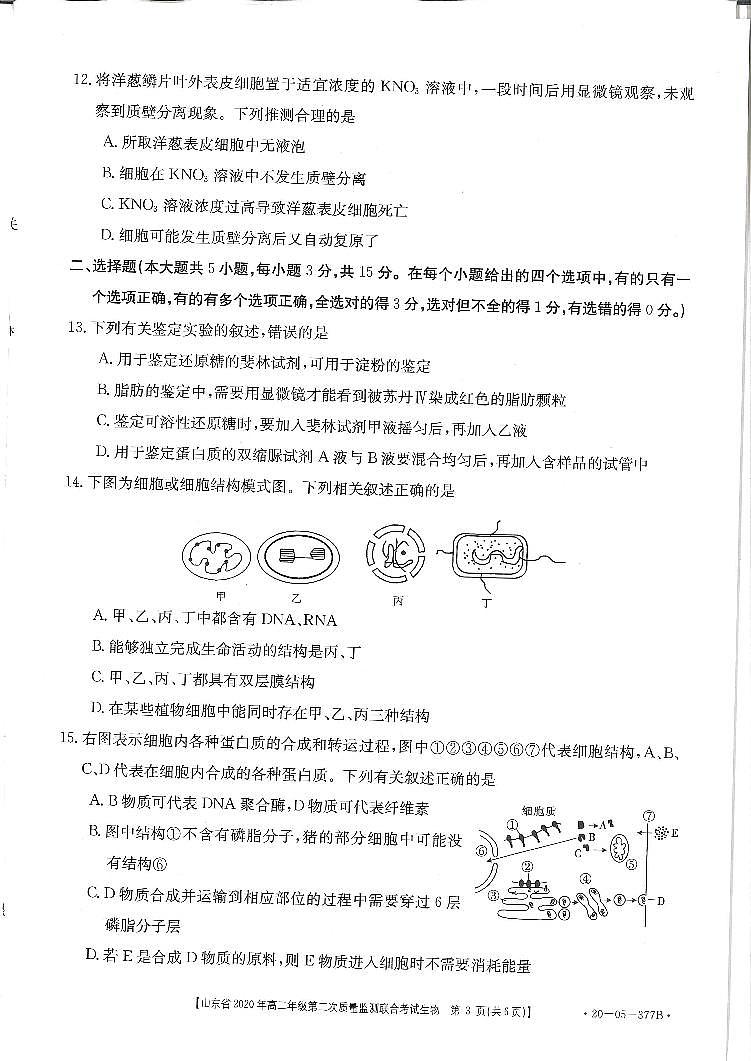 2020山东省高二下学期第二次质量监测联合考试生物试题PDF版含答案02