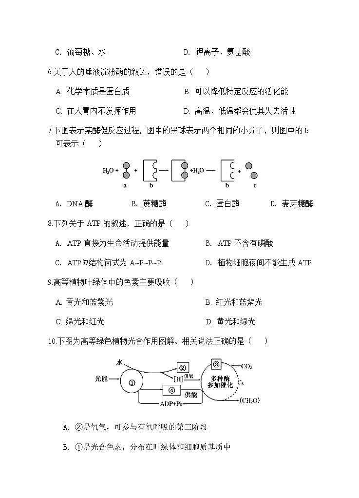 2020安庆怀宁县二中高二下学期期中线上检测生物试题含答案02