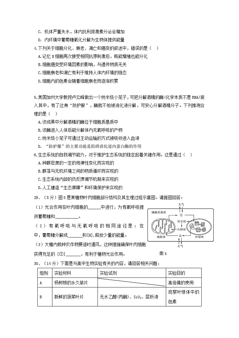 2020北流实验中学高二下学期期中考试理科综合生物试题含答案第2页