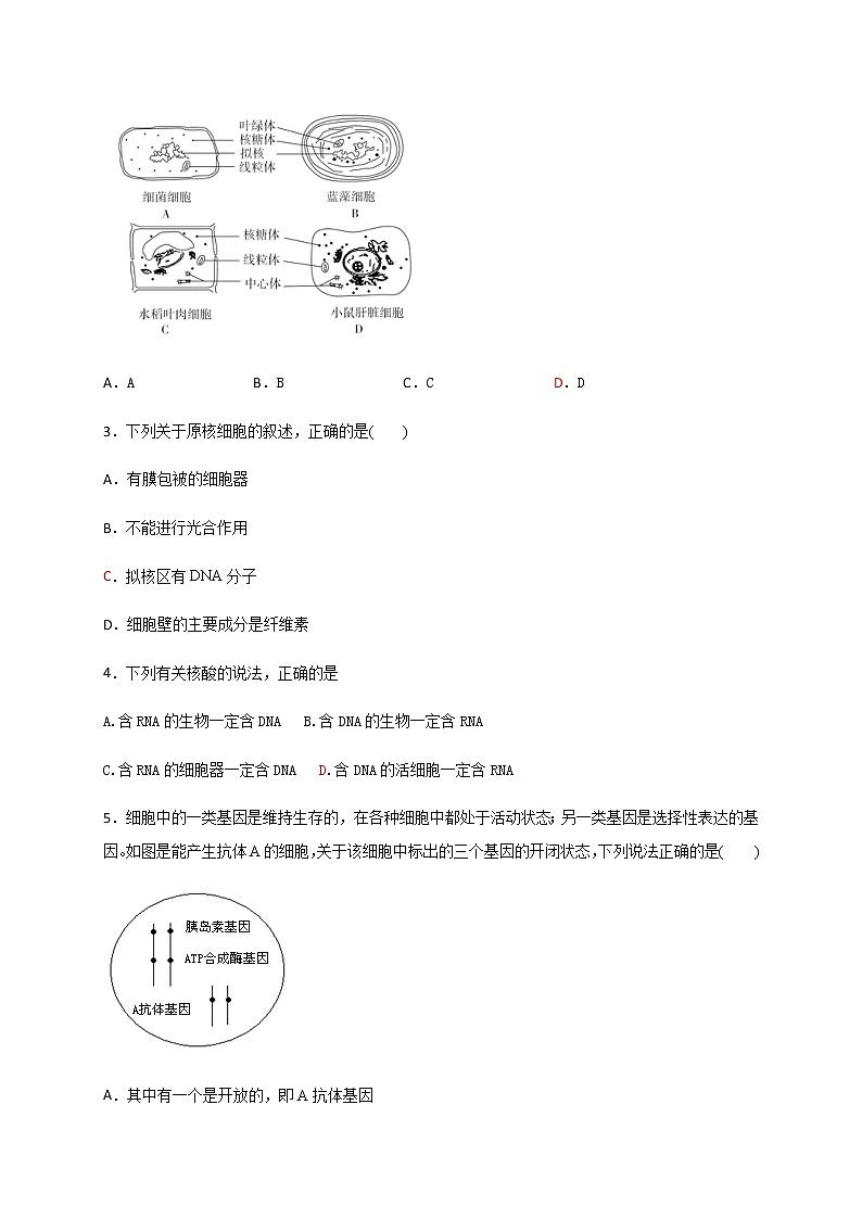 2020杭州西湖高中高二6月月考生物试题含答案02