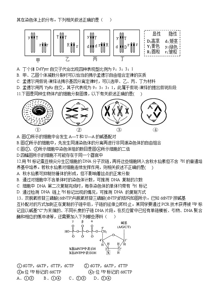 2020岳阳县一中高二下学期期中考试生物试题含答案03