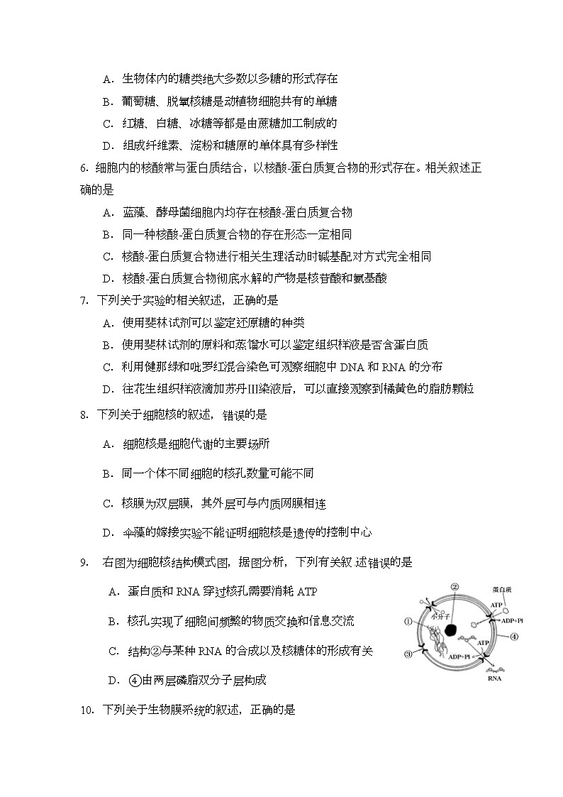 2020南宁三中高二下学期月考（三）生物试题含答案02