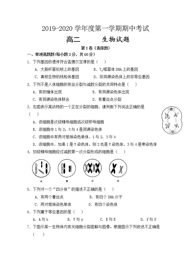 2020渭南韩城高二上学期期中考试生物试题含答案第1页