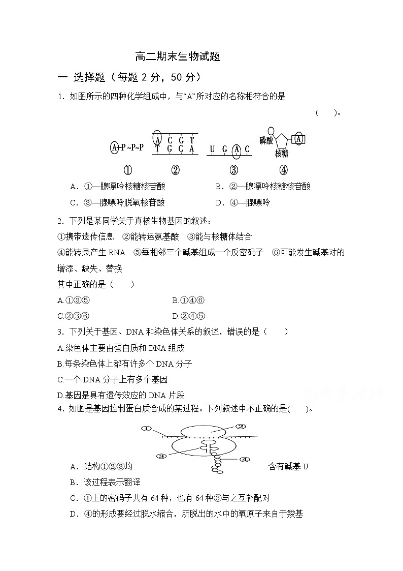 2020武威十八中高二上学期期末考试生物试题含答案01