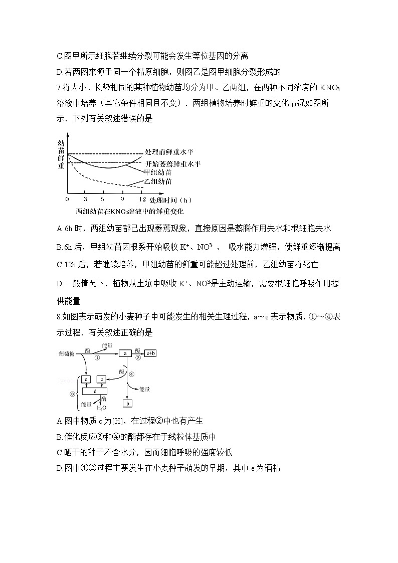 2020滁州定远县重点中学高二下学期期中考试生物试题含答案03