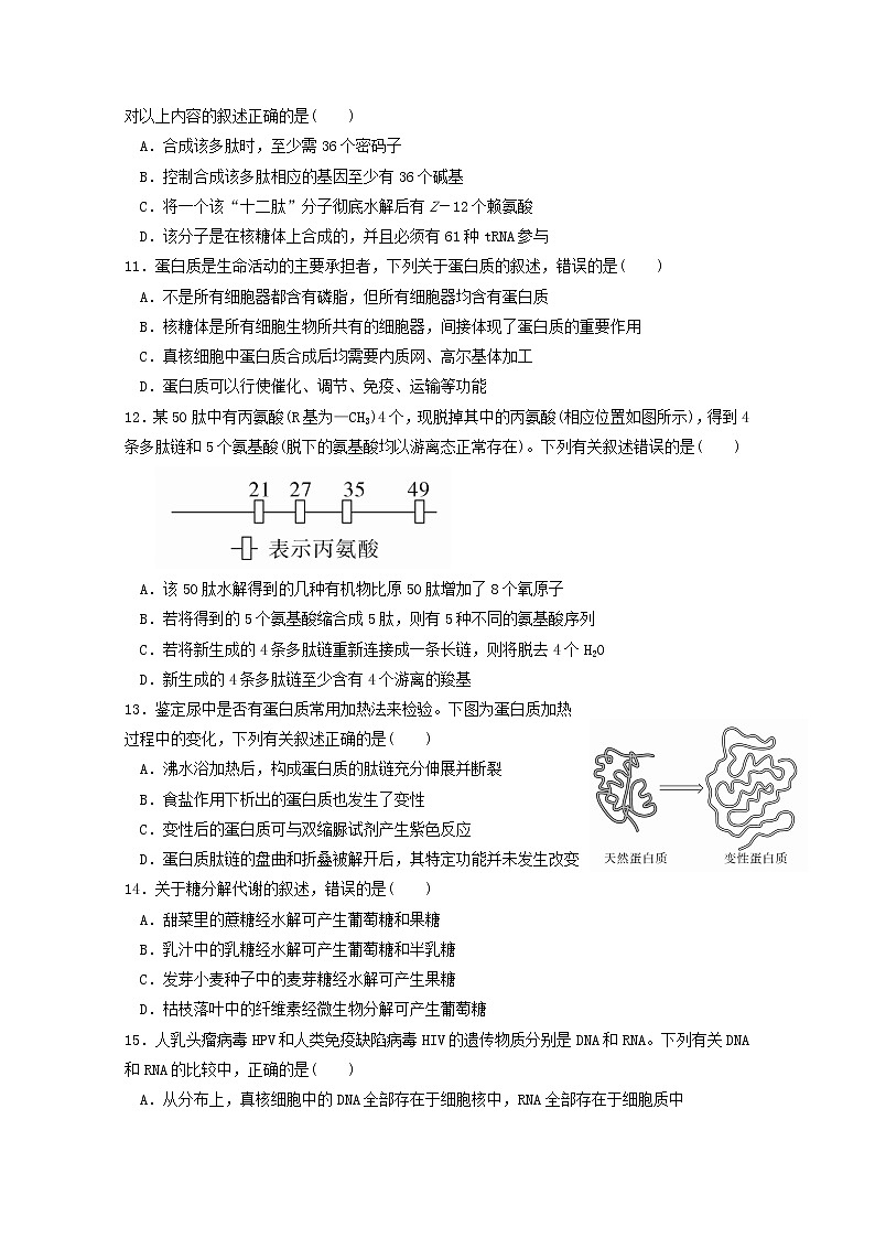 2020邯郸永年区二中高二6月考试生物试题含答案03
