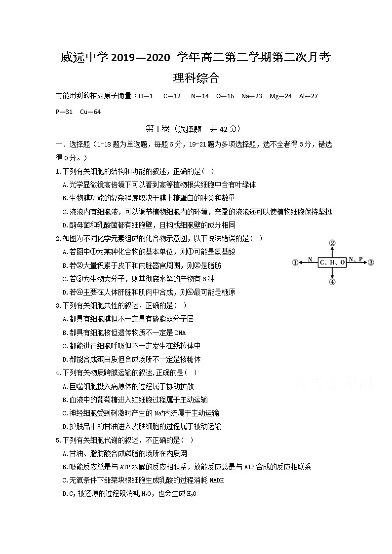 2020四川省威远中学高二下学期第二次月考生物试题含答案第1页