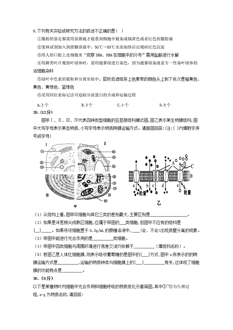 2020四川省威远中学高二下学期第二次月考生物试题含答案第2页