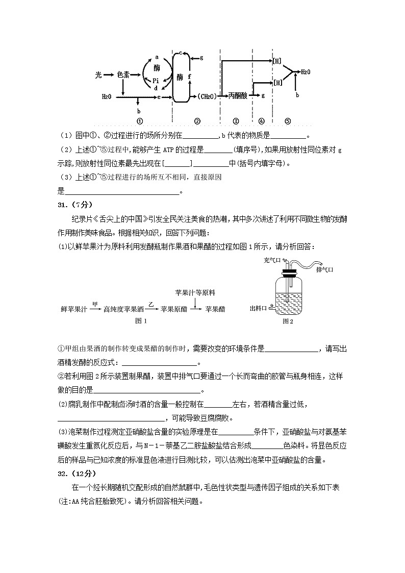 2020四川省威远中学高二下学期第二次月考生物试题含答案第3页