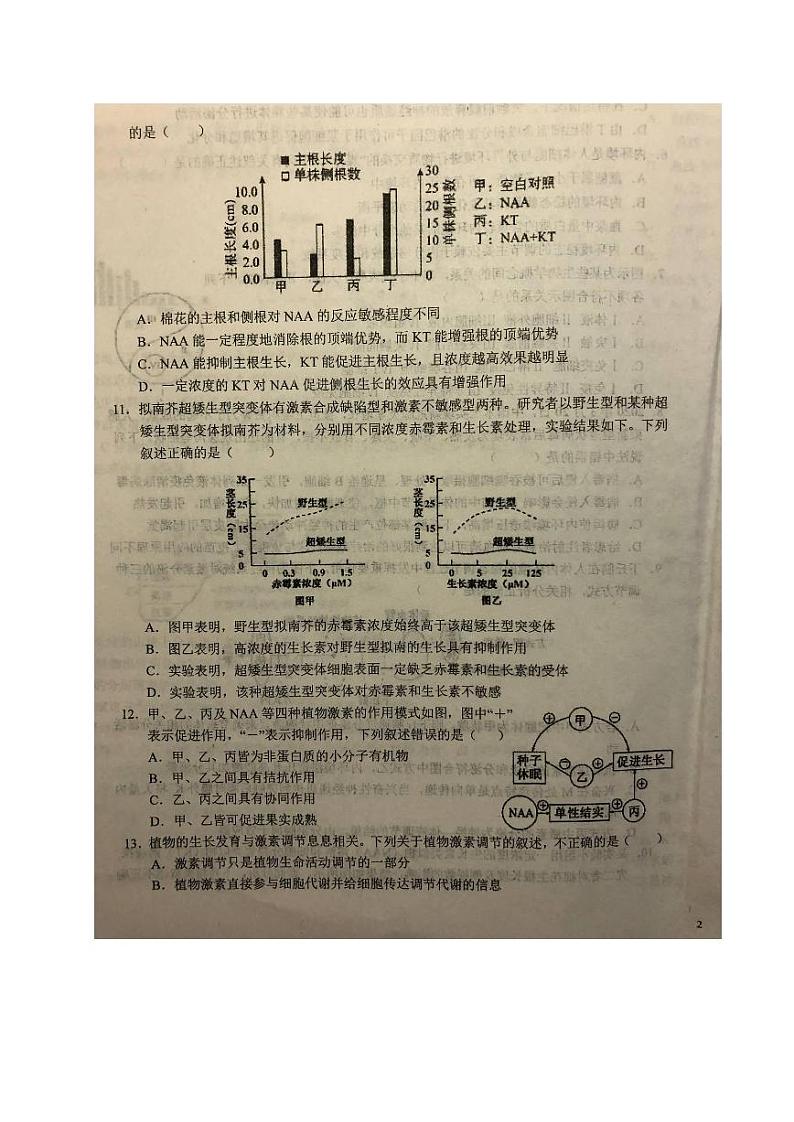 2020六安一中高二下学期期中考试生物试题PDF版含答案03
