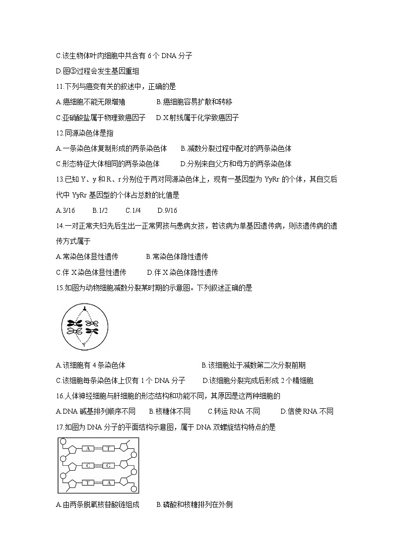 2020郴州高二学业水平考试模拟监测试题生物含答案第3页