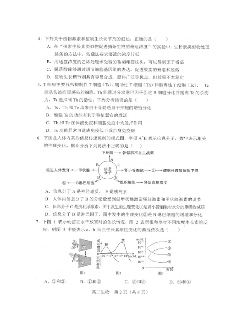 2020沈阳郊联体高二上学期期末考试生物试题扫描版含答案第2页