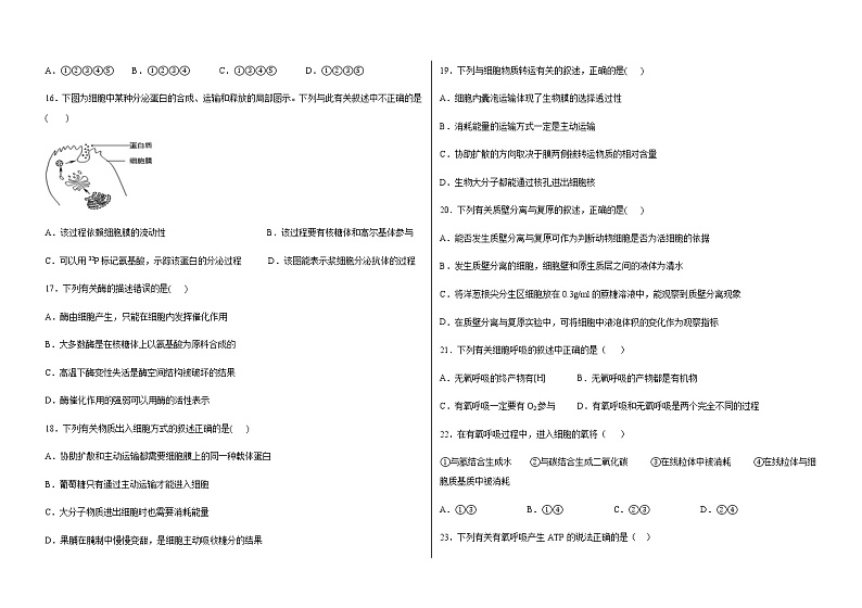 2020淄博淄川中学高二下学期期中考试生物试题含答案03
