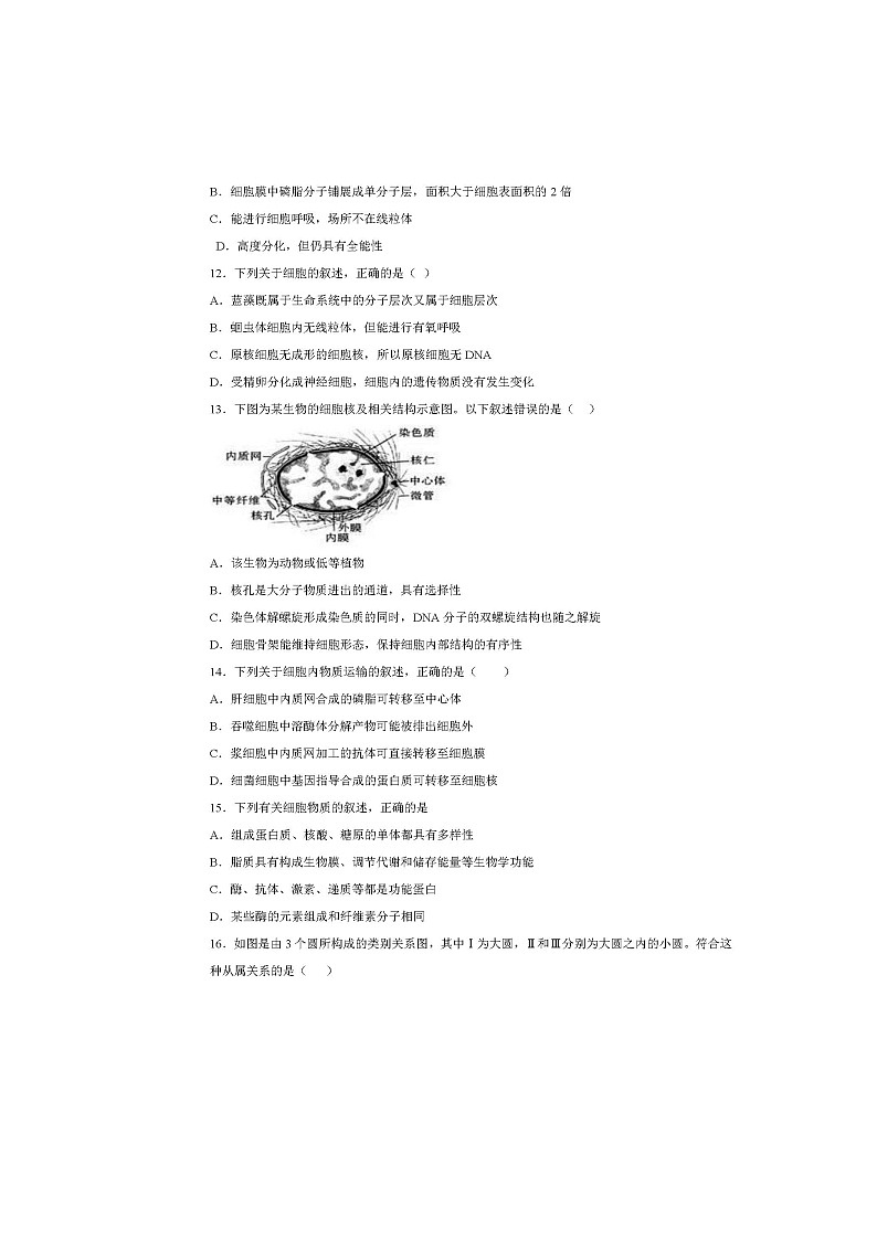 2020枣庄八中东校区高二下学期复学检测生物试题扫描版含答案03
