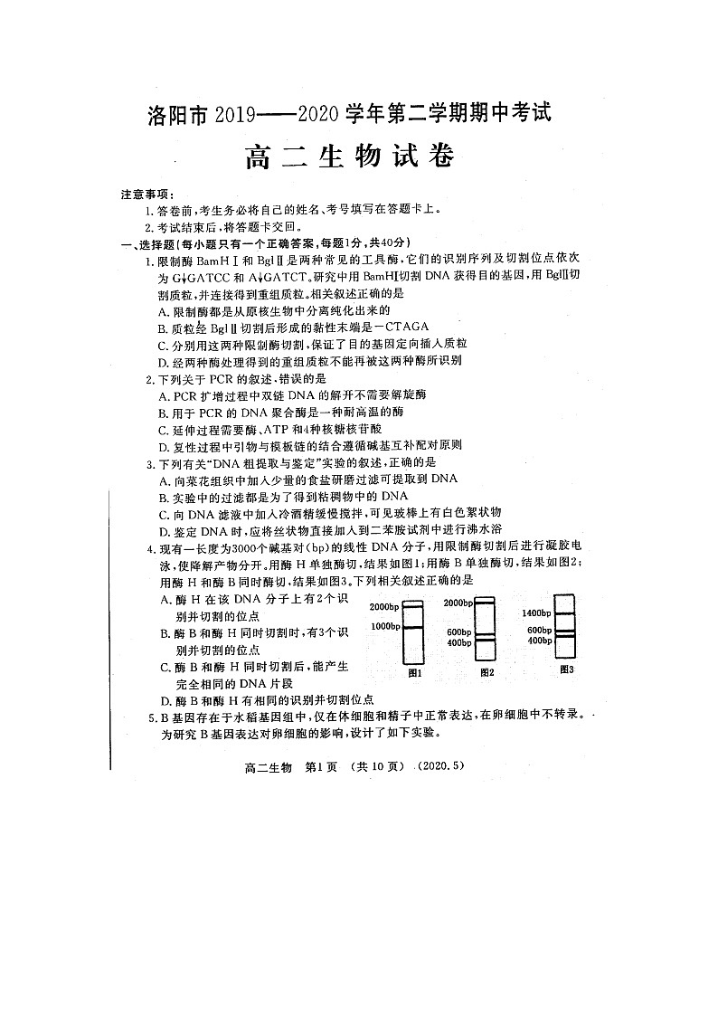 2020洛阳高二下学期期中考试生物扫描版含答案01