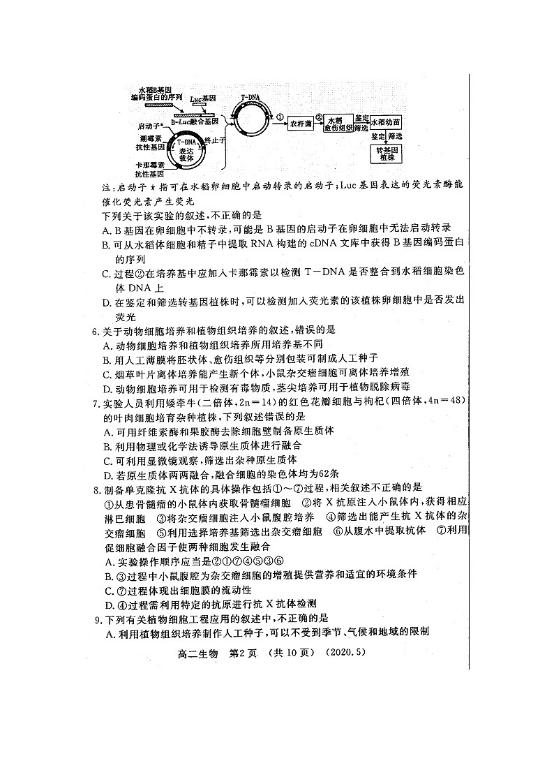 2020洛阳高二下学期期中考试生物扫描版含答案02
