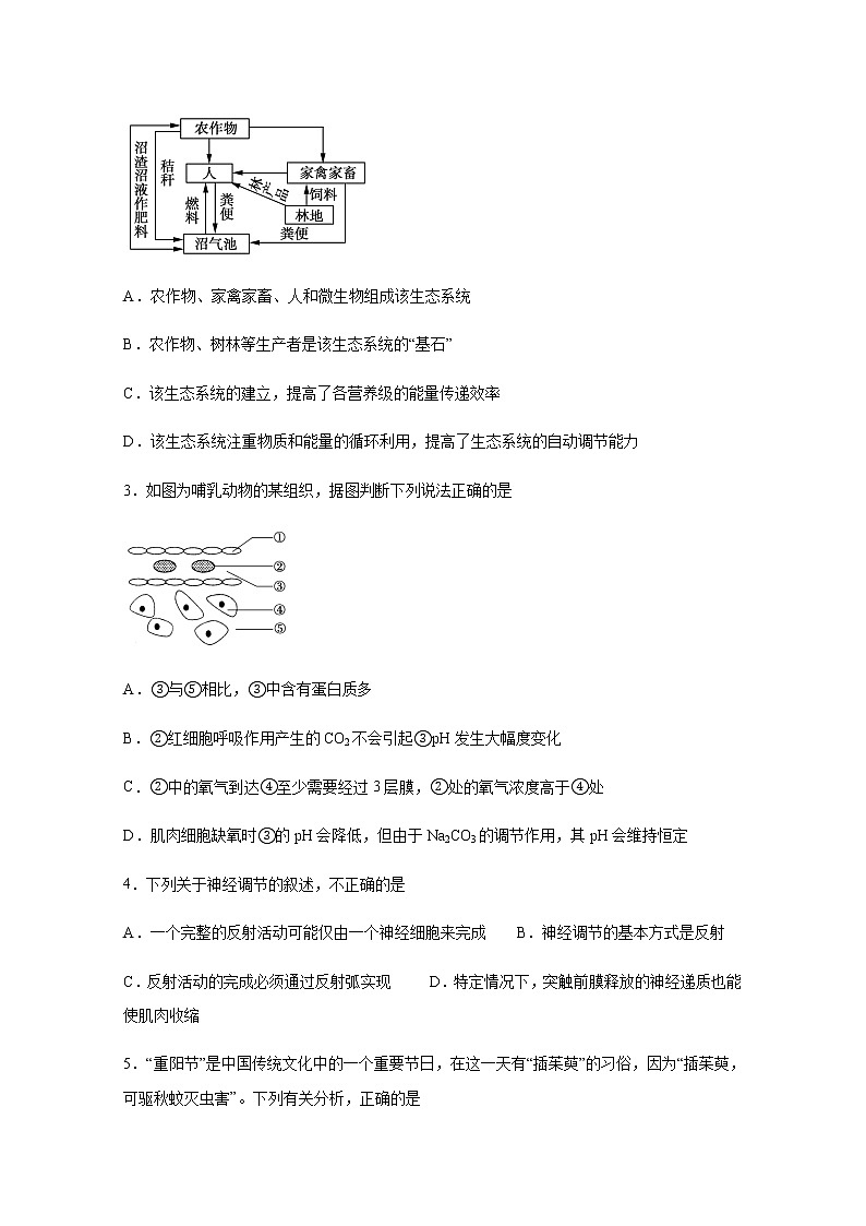 2020泸县四中高二下学期期中考试生物试题含答案02