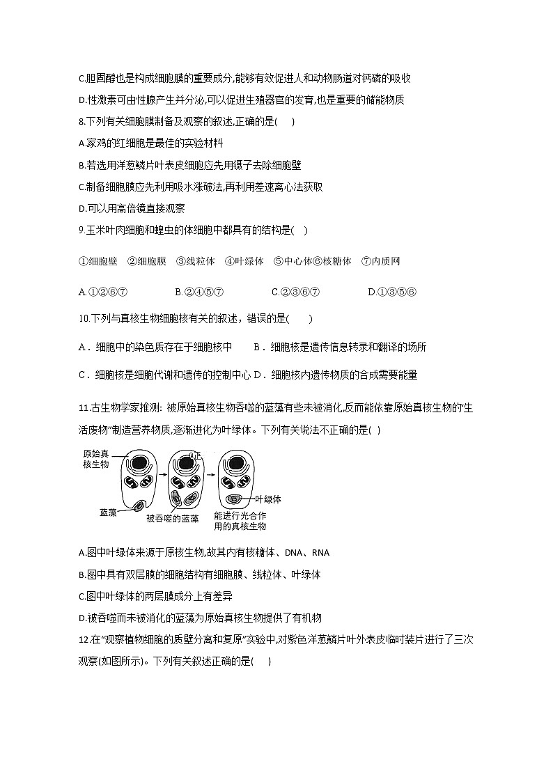 2020成都外国语学校高二下学期5月月考生物试题含答案03