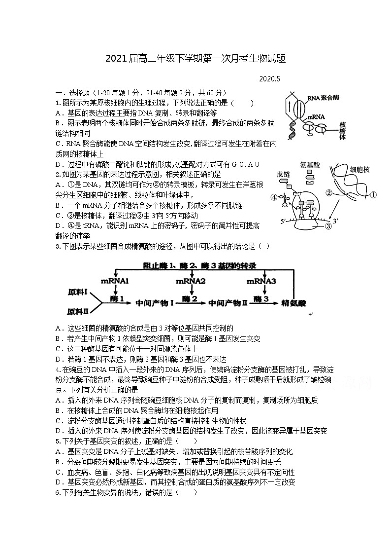 2020宜春上高二中高二下学期第一次月考试题生物含答案第1页
