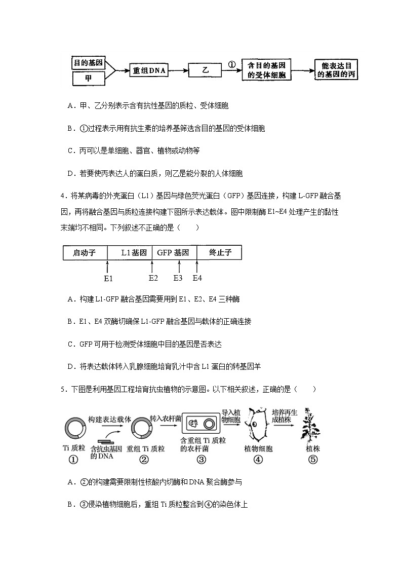 2020湛江第二十一中学高二下学期复学考试（线上测试）生物试题含答案第2页