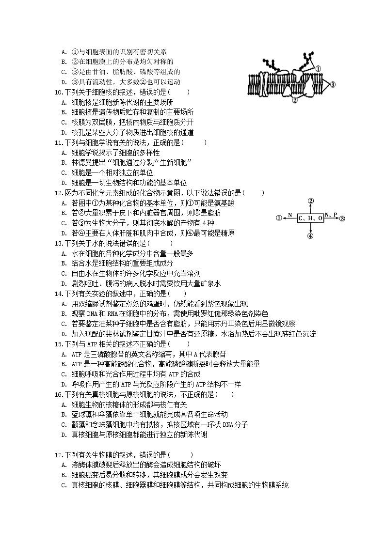 2020遂宁射洪中学高二下学期第一次月考生物试题含答案02