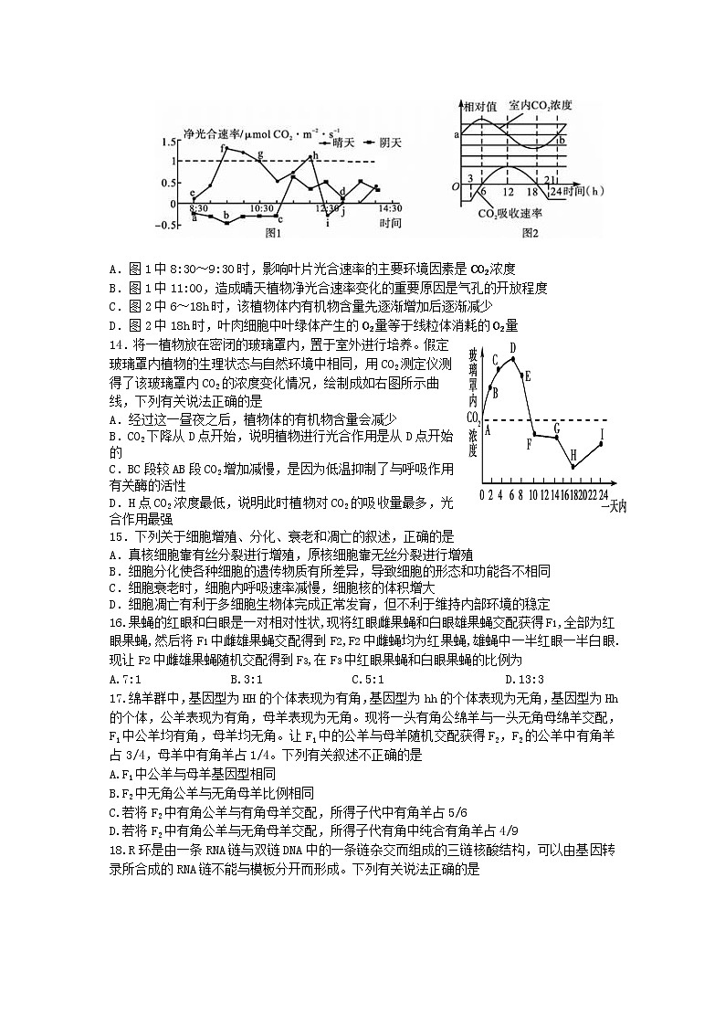 2020商丘一中高二下学期期中考试生物试题含答案03
