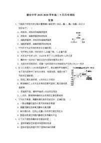 2020雅安中学高二5月月考生物试题含答案