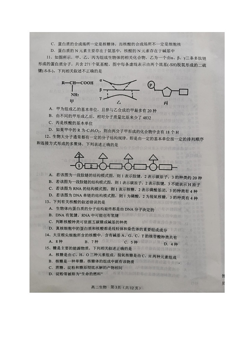 2020南阳高二下学期期中生物试题扫描版含答案第3页