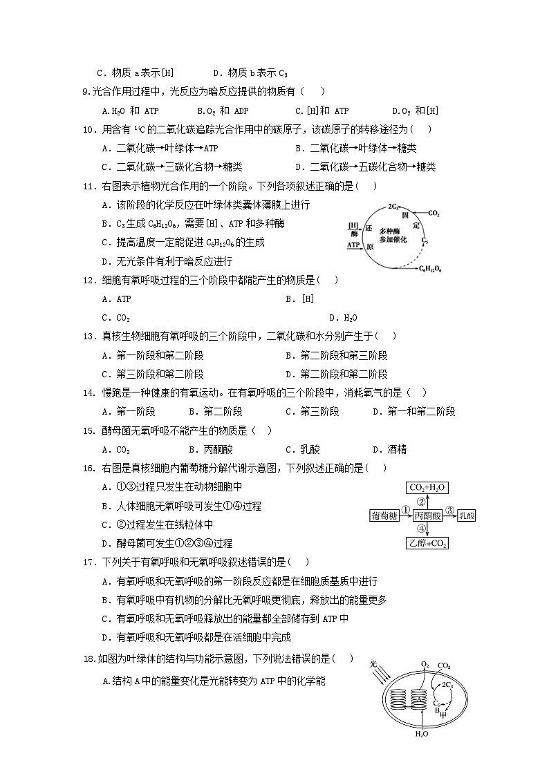 2020淮安涟水县一中高二10月阶段性测试生物试题（合格考）缺答案02