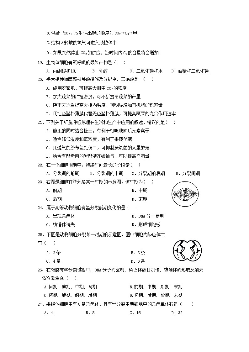 2020淮安涟水县一中高二10月阶段性测试生物试题（合格考）缺答案03